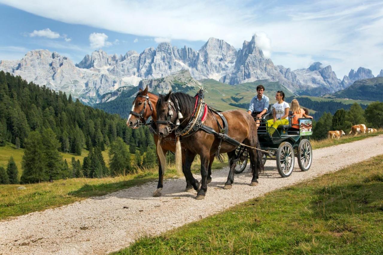Hotel Italia Castello-Molina di Fiemme ภายนอก รูปภาพ